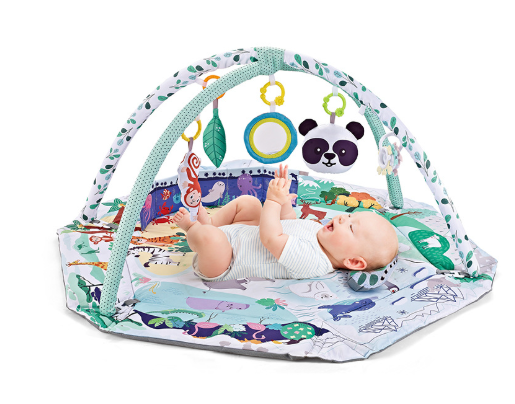 SensoryHaven™ 8-in-1 Baby Speelkleed met 6 Speeltjes – Stimulatie van Zintuigen en Motoriek voor Baby’s